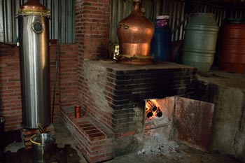 Tsipouro und Grappa, Nikos Ouzonis, Pentalofos, Griechenland