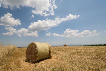 Feld in Pentalofos, Paionias, Paikos, Kilkis