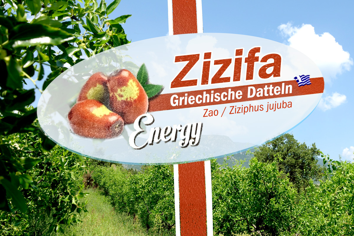 frische Jujuba, Zizifa, Griechische Datteln